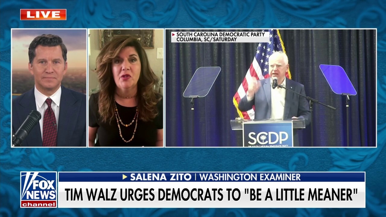 The Democratic Party's message 'divides people,' columnist argues