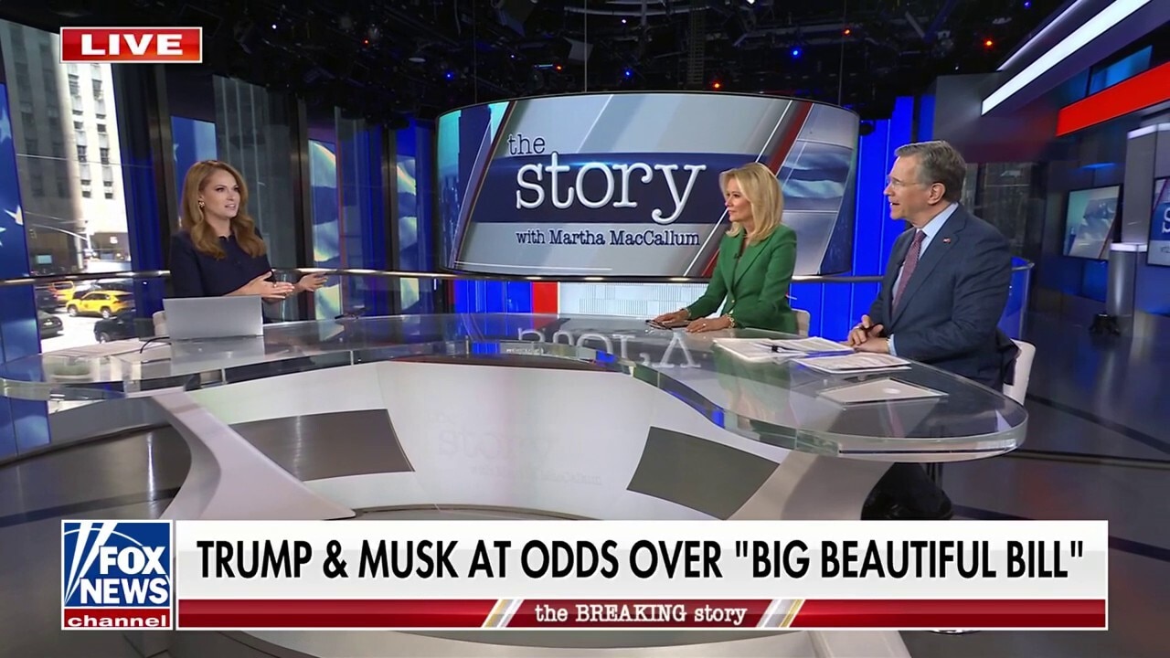 Elon Musk rips ‘disgusting’ Trump-backed spending bill