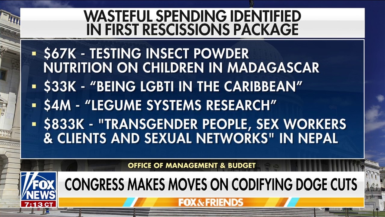 Congress looks to codify DOGE cuts amid Elon Musk's dissent on Trump's 'big, beautiful bill'