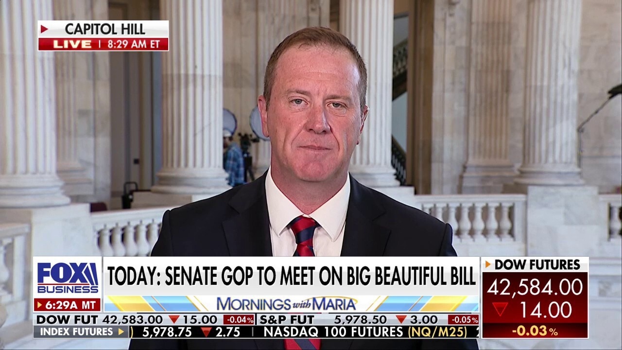 GOP senator says there's an 'appetite for more spending reductions' on 'big beautiful bill'