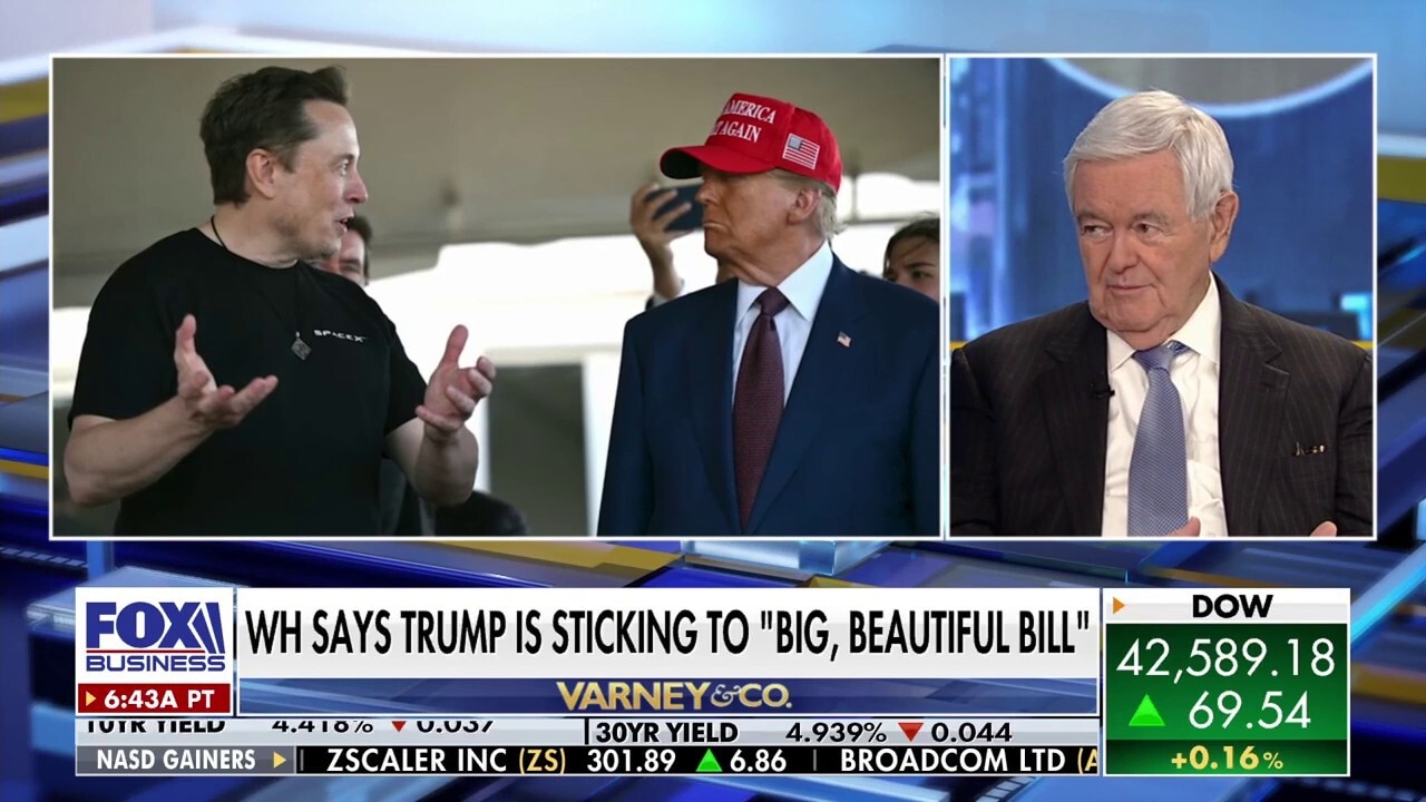 Gingrich says 'very few' lawmakers will take Musk seriously over 'big, beautiful bill' critique