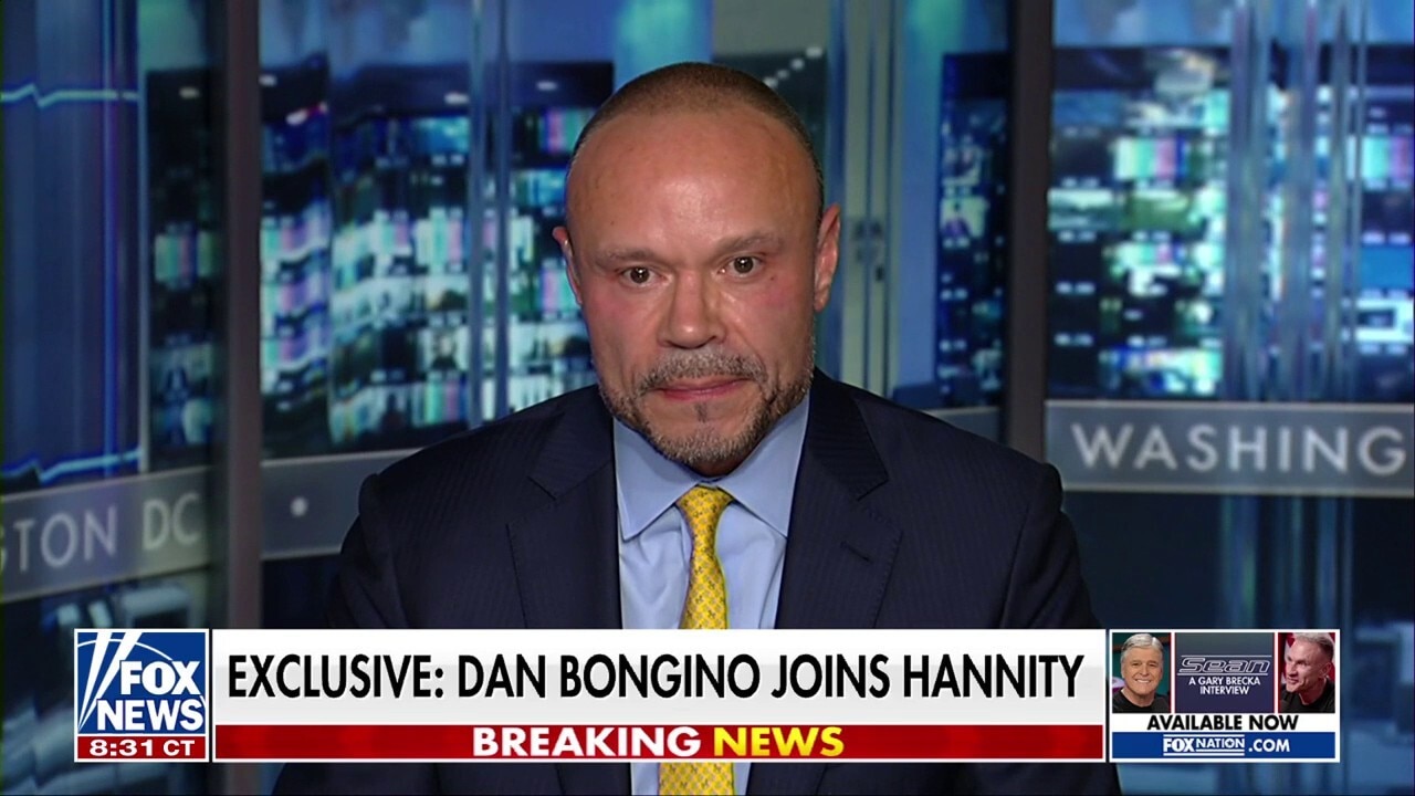 Bongino on Epstein files: There's more coming