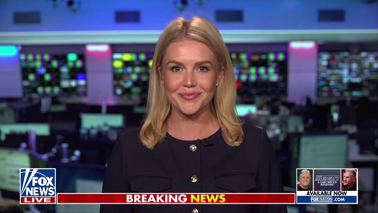 Karoline Leavitt shares insight into Trump-Musk relationship after war of words