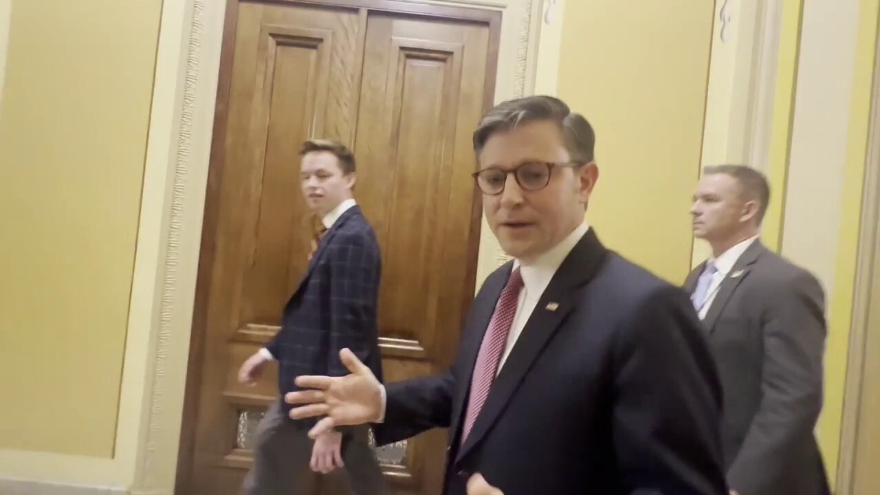 House Speaker Johnson reacts to Democrats calling for unmasking ICE agents