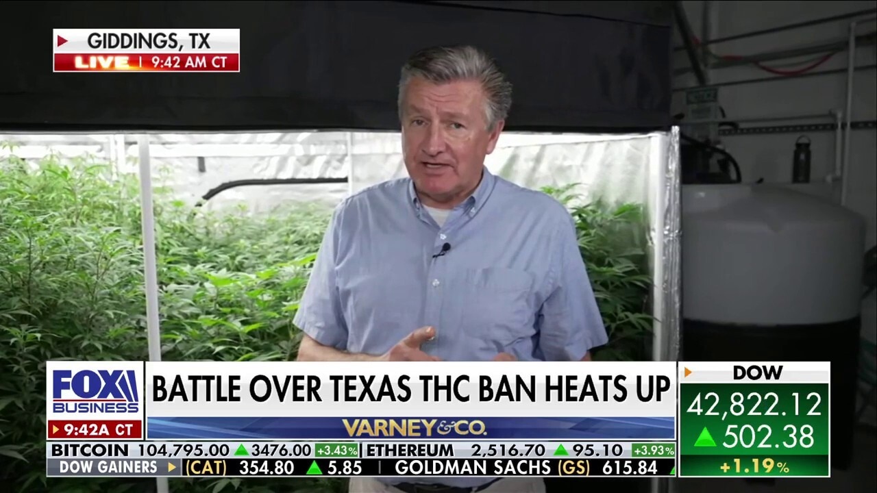 Texas weighs a statewide THC ban with potential $10.2B economic hit