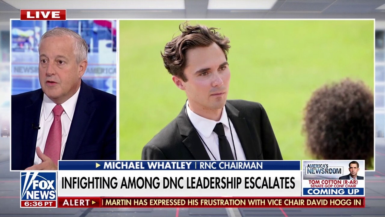 Leaked audio reveals DNC chair unleashing on vice chair: 'Quite frustrated'