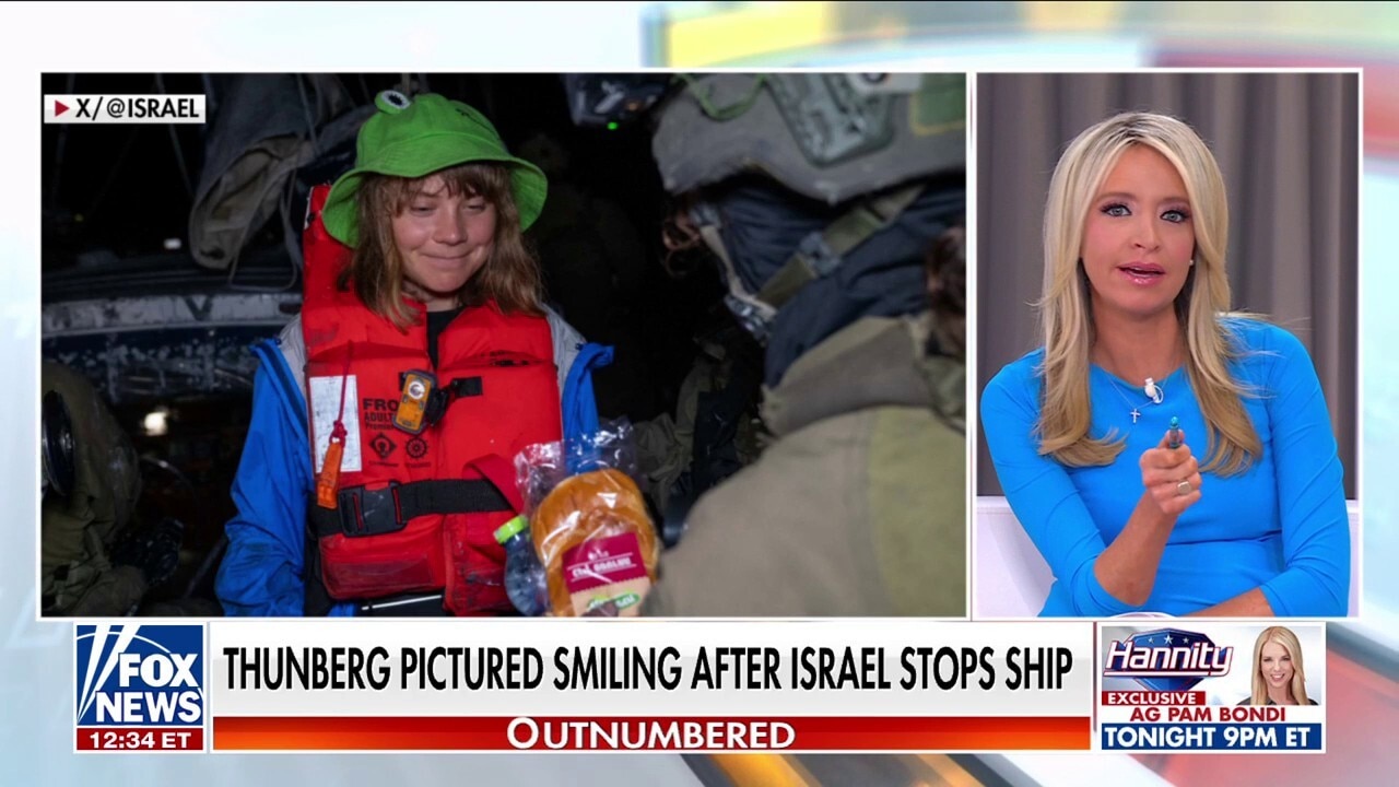 Greta Thunberg claims activists were 'kidnapped' by Israeli forces