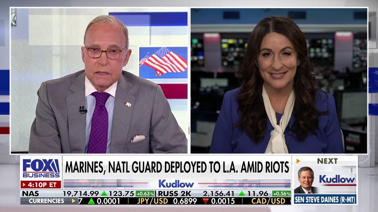 Democrats have decided to try the same playbook from 2020, Miranda Devine says