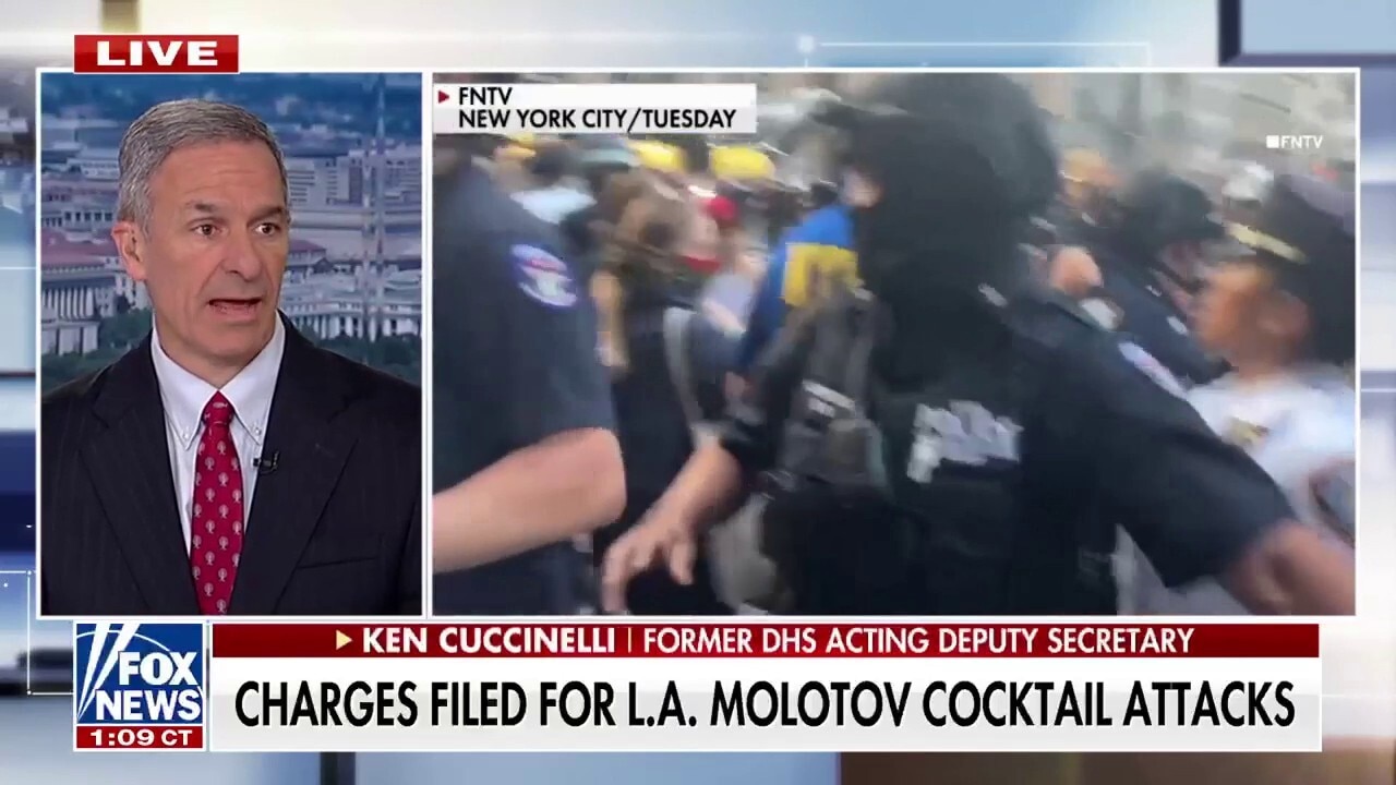 Current investigation into anti-ICE riots suggests ‘substantial coordinated funding’