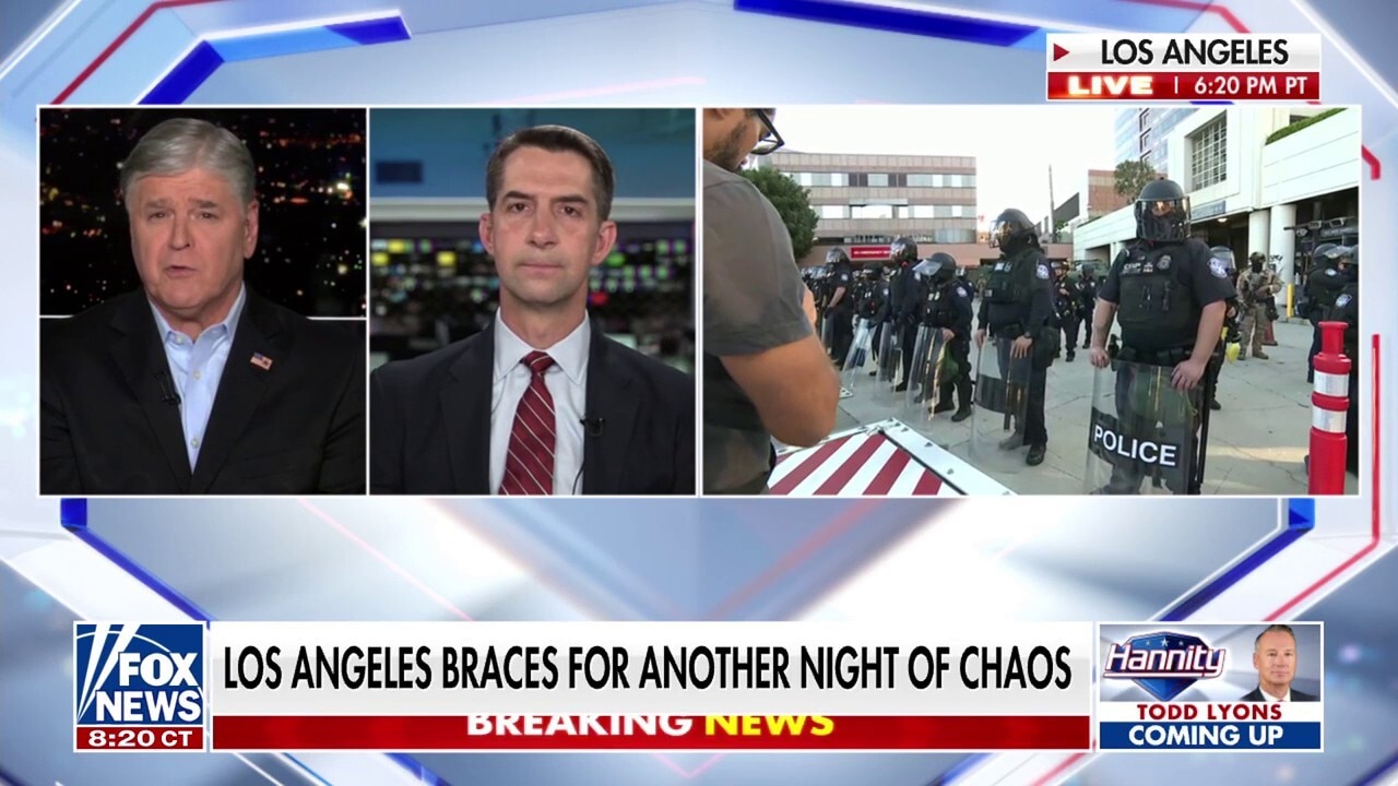 The mayor won't let the LA Police Department do its job, GOP lawmaker says