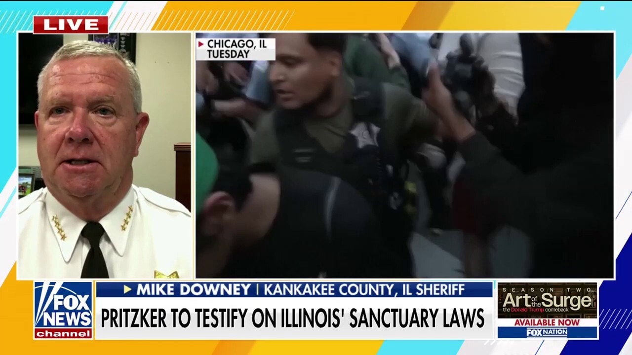 Illinois sheriff slams state's far-left sanctuary policies: 'What is the holdup?'