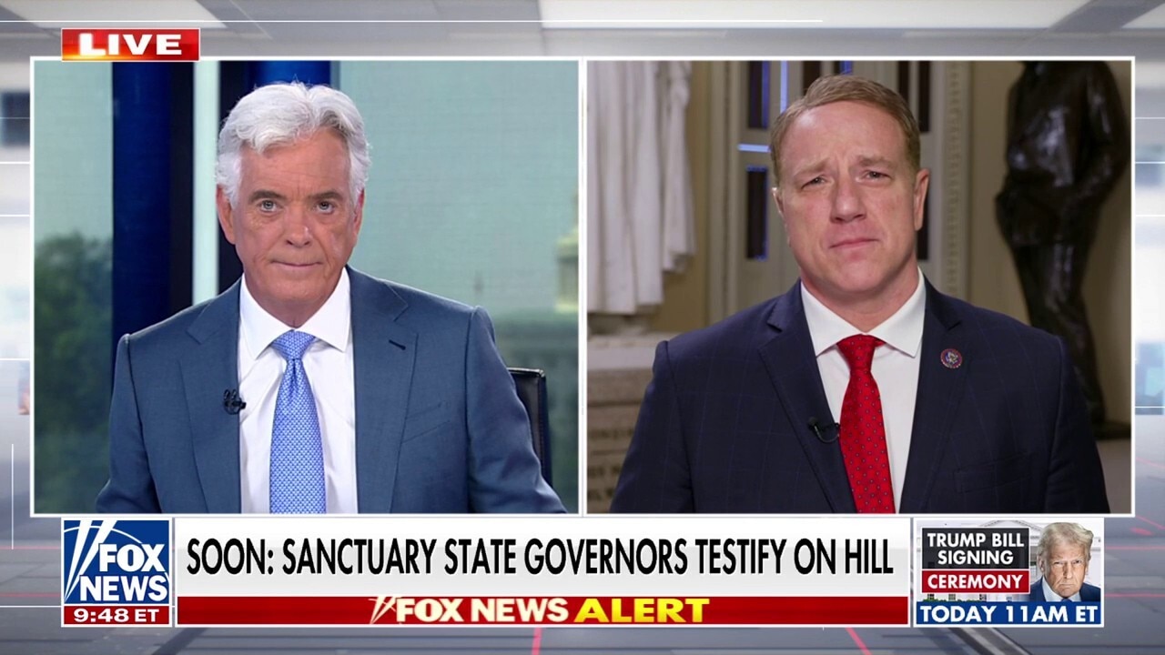 House Republican argues anti-ICE protests are 'clearly premeditated'