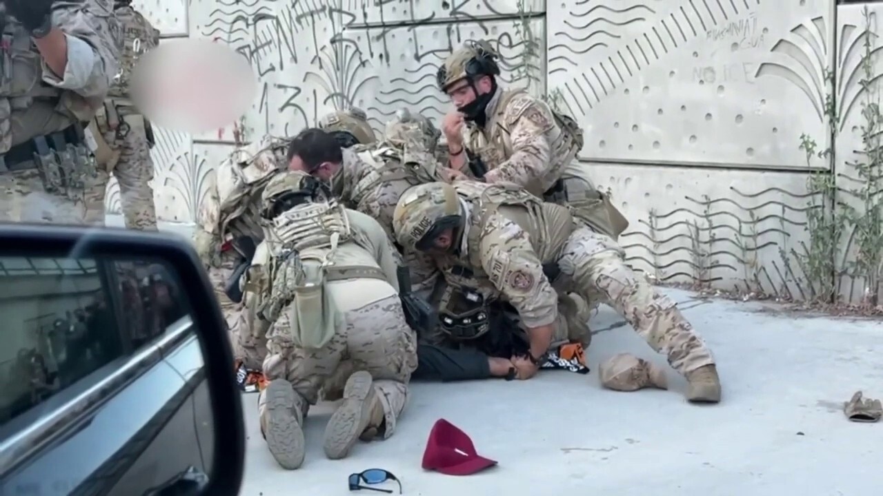 Police arrest suspect accused of assaulting officers