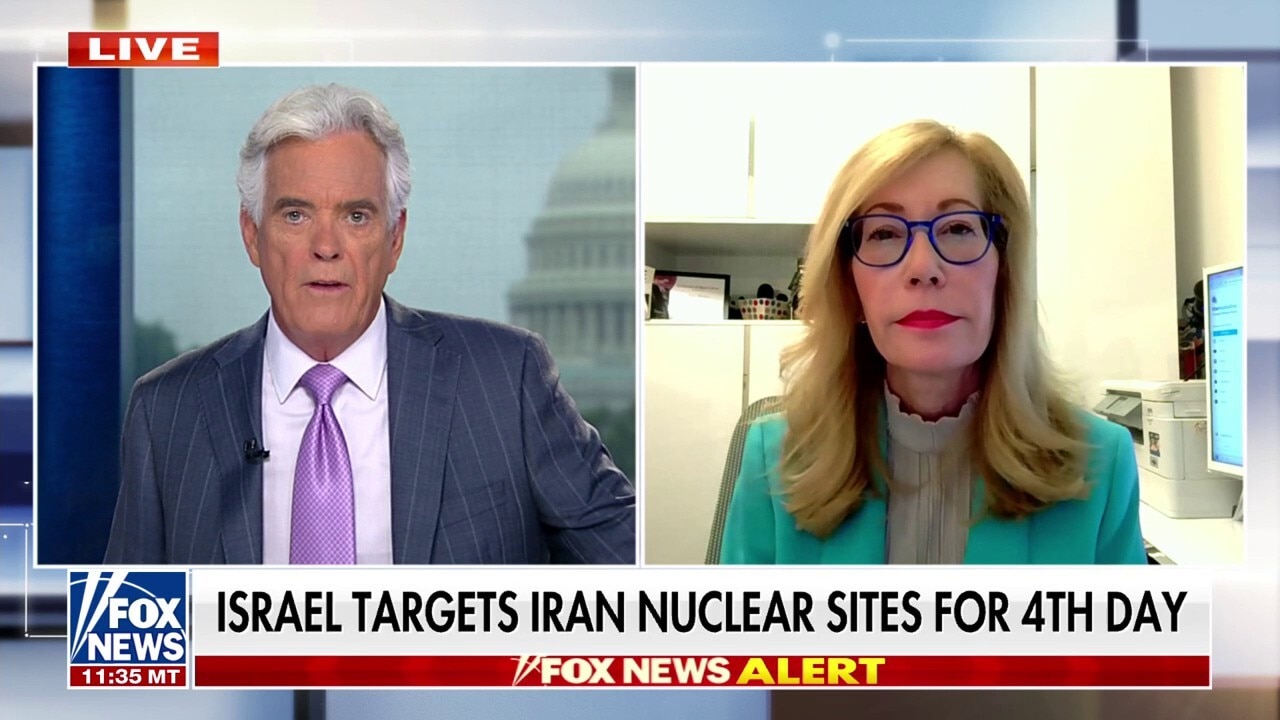  Netanyahu knew he had one opportunity to go into Iran, Felice Friedson says