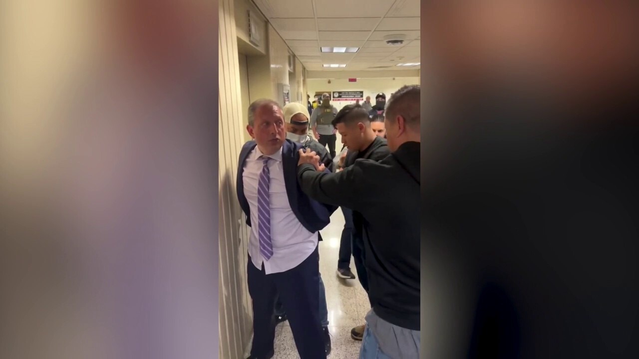 Brad Lander arrested by DHS agents