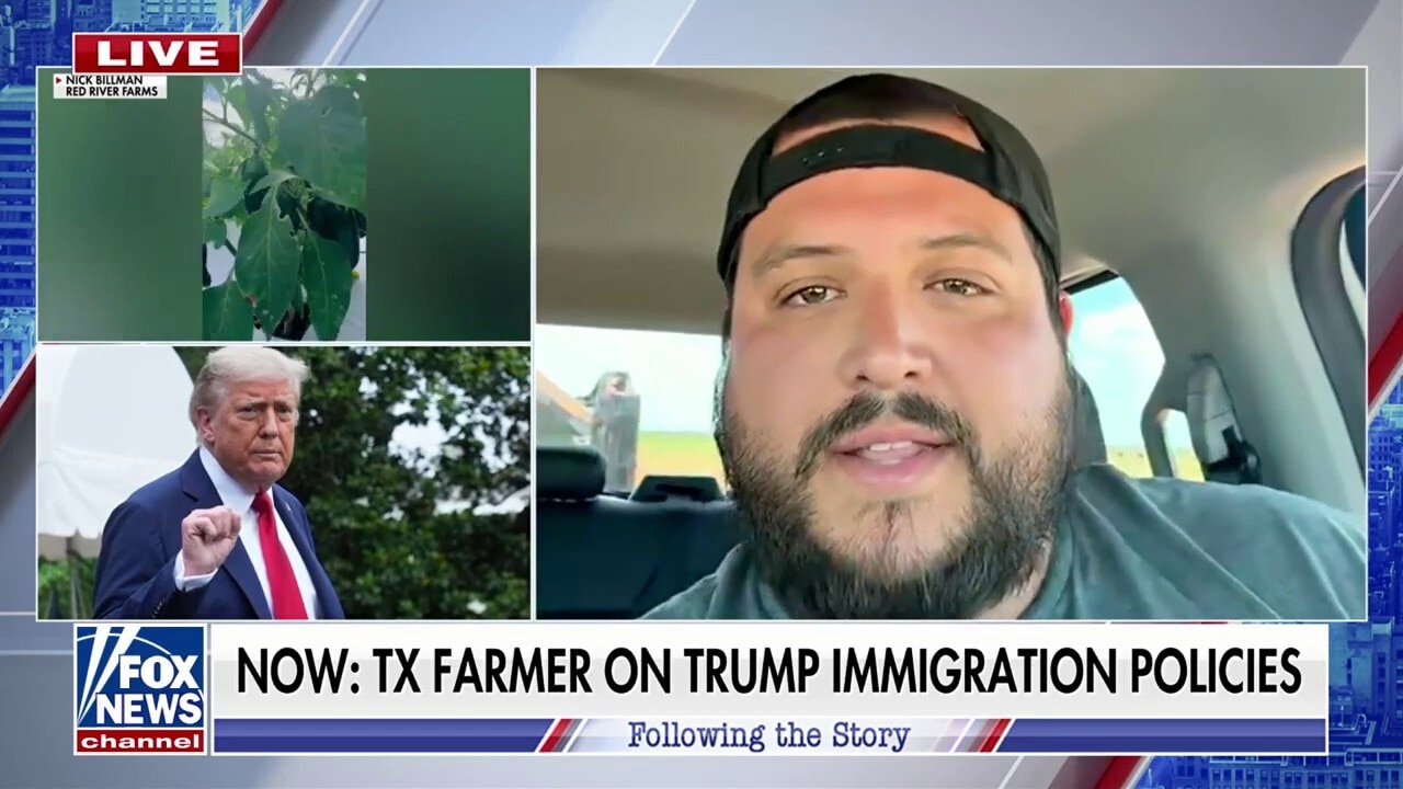 Texas farmer says 'almost 100%' of his employees aren't showing up due to Trump immigration policies