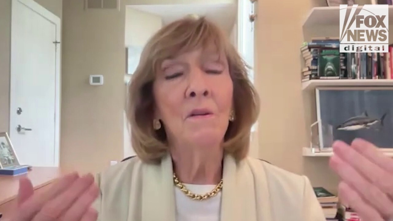 ‘Jaws’ at 50: Wife of late "Jaws" author talks enduring legacy of the book's film adaptation