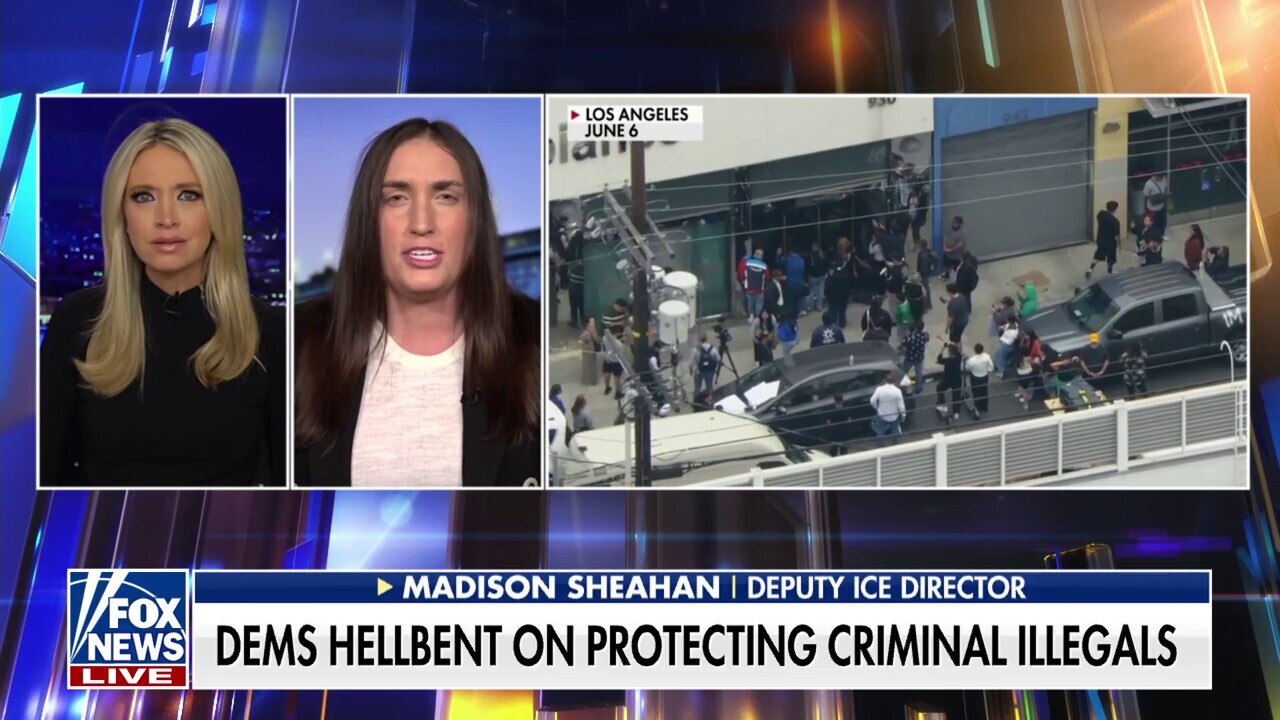 Democrats won't allow law enforcement officers to 'do their jobs,' ICE official laments