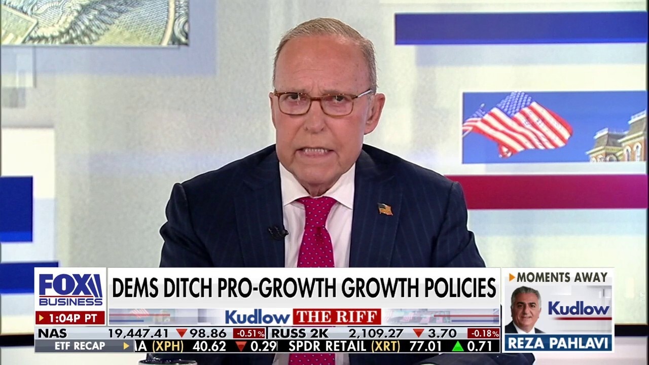 Larry Kudlow: The Democratic Party today is a sad tale