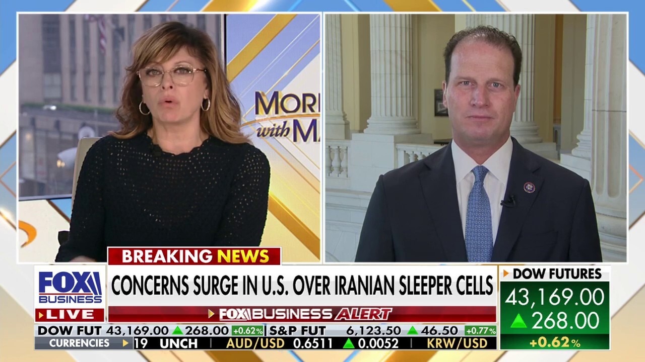 GOP lawmaker praises Trump's 'brilliant' Israel-Iran ceasefire agreement