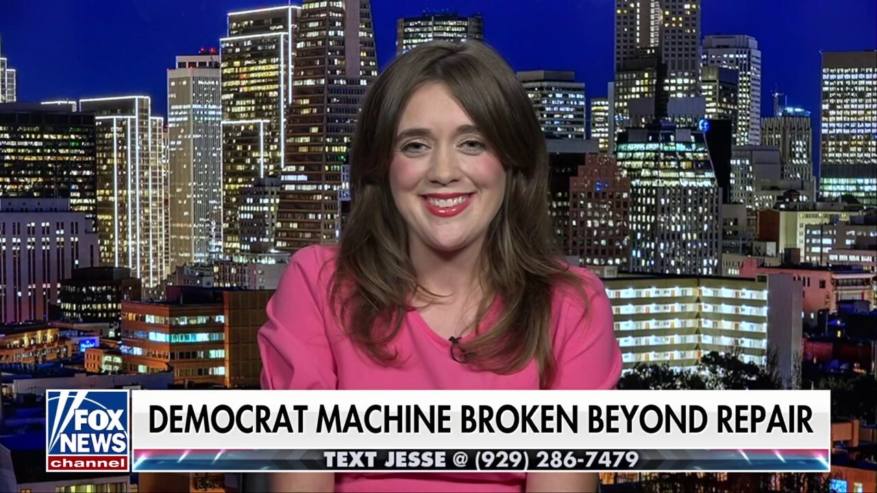 The Dem Party has no identity, says former operative