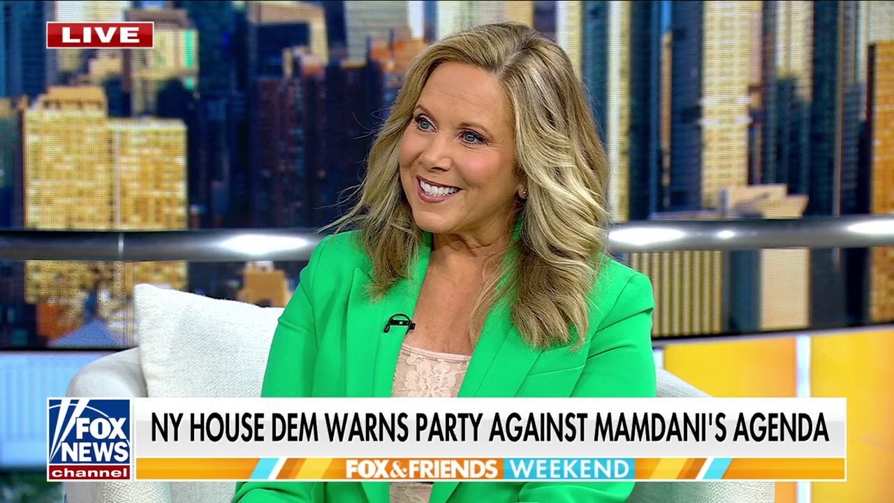 If Zohran Mamdani is elected, he will ‘crater’ NYC’s economy, Dem rep warns