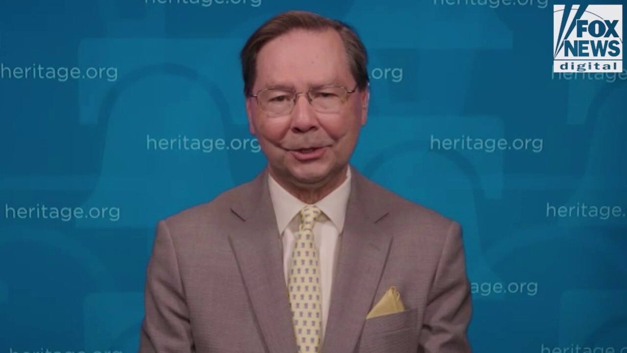 Conservative legal expert argues noncitizens get ‘only limited’ due process