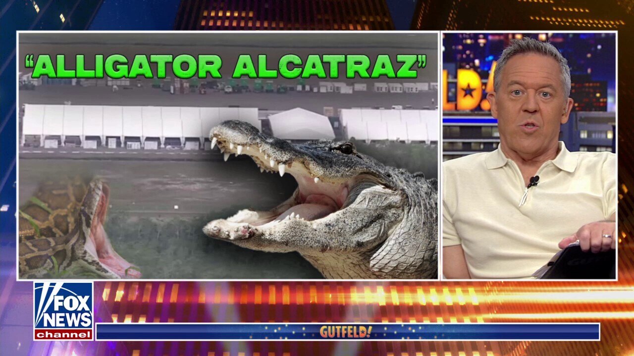 Greg Gutfeld: Trump’s telling illegal migrants the ‘party is over’