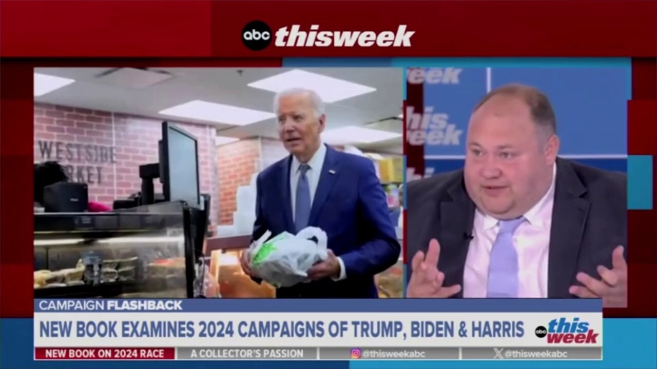 Hunter Biden helped Joe make campaign decisions, joined calls: WSJ reporter