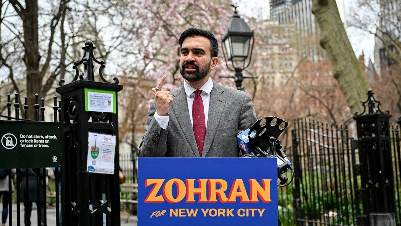 Democrat voices concern over Mamadani's policies: 'Too radical for New York'