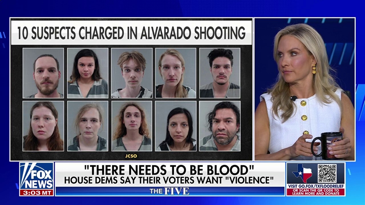 The Left has a real problem with political violence, says Dana Perino