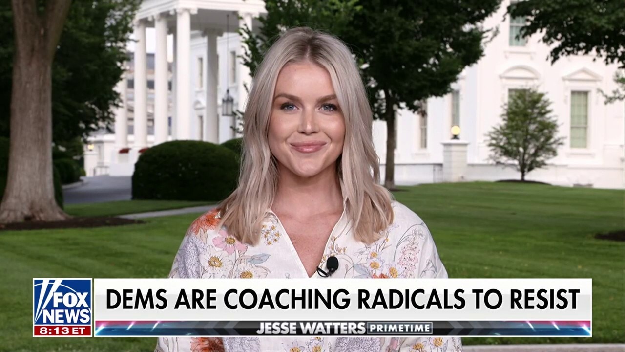 Karoline Leavitt: 'Democrats learned NOTHING on November 5th' when Americans voted for common sense