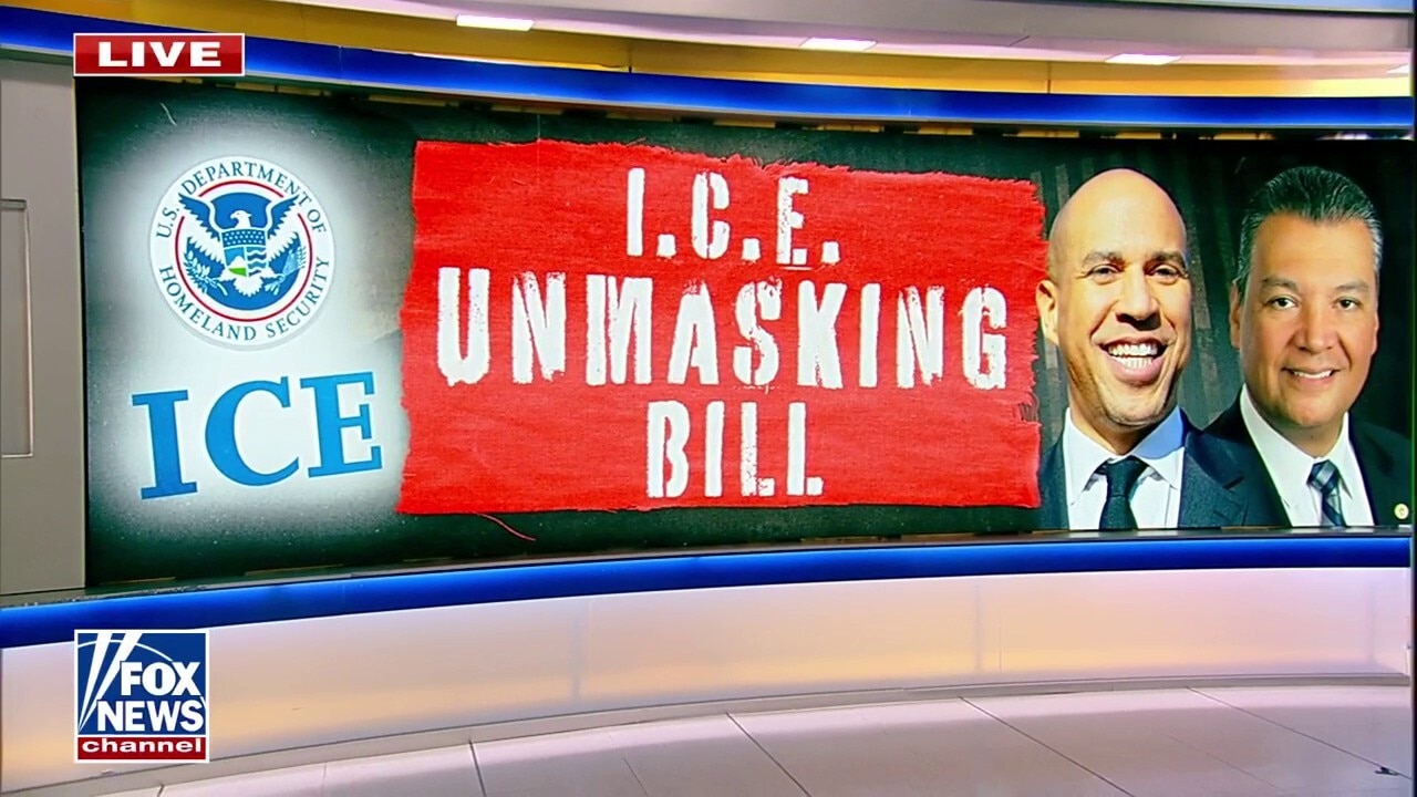 Dem lawmakers push bill to unmask ICE, CBP agents