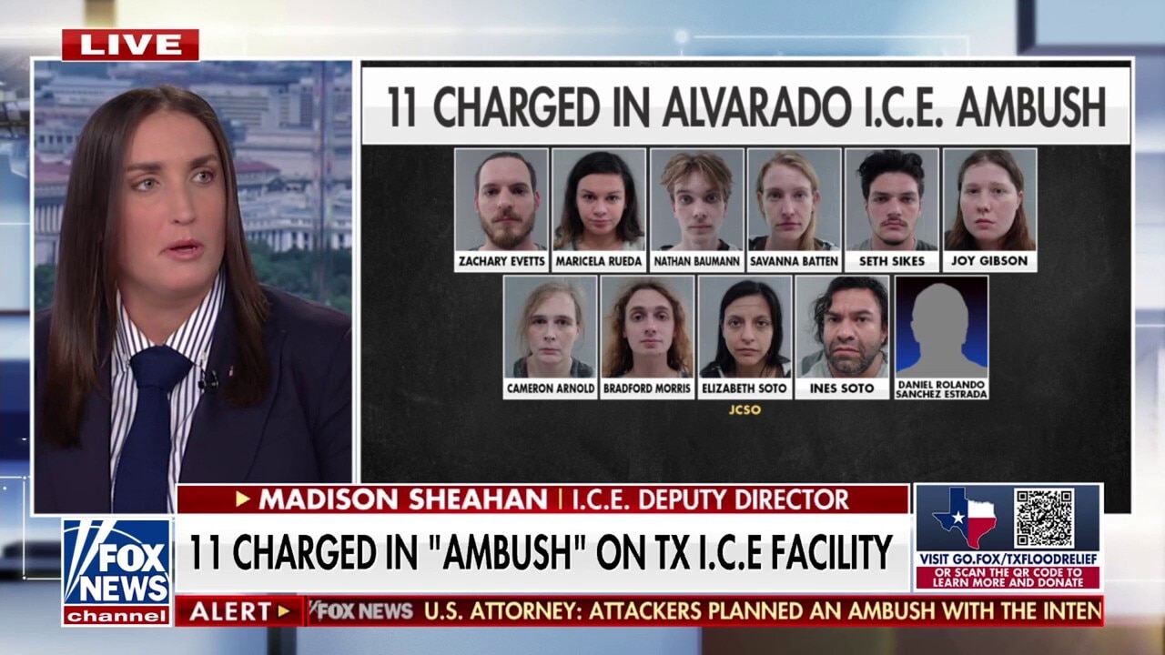 Democrats continue to ‘take the side of the criminals,’ says acting ICE director