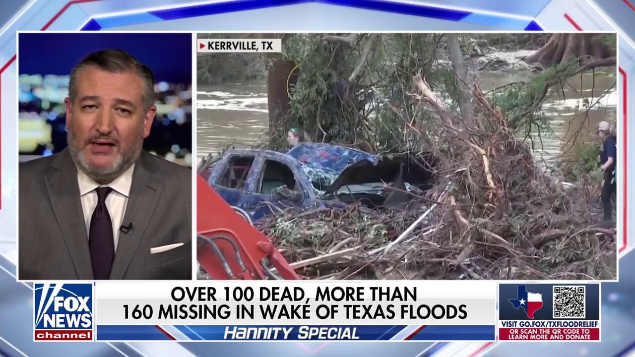 Ted Cruz describes moment Coast Guard swimmer was 'moved to tears'