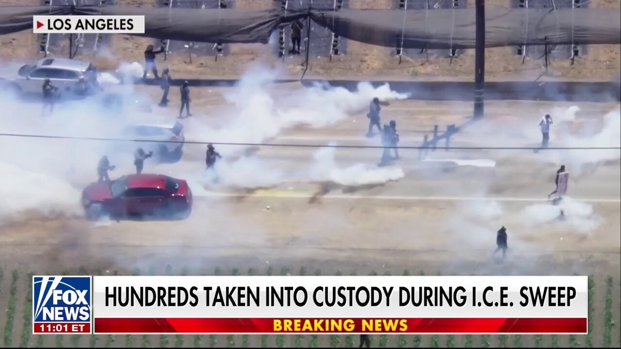 ICE marijuana farm raid sparks violent clashes with protesters