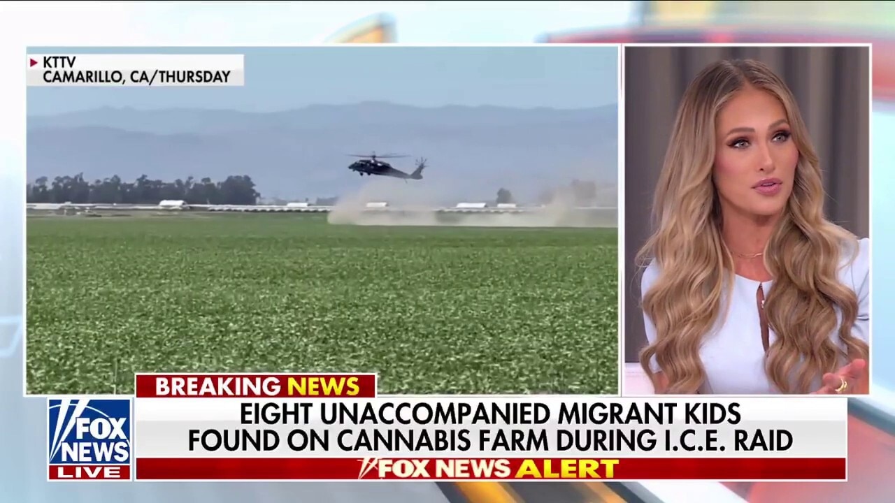 Tomi Lahren: Democrats are for those who ‘break the law’