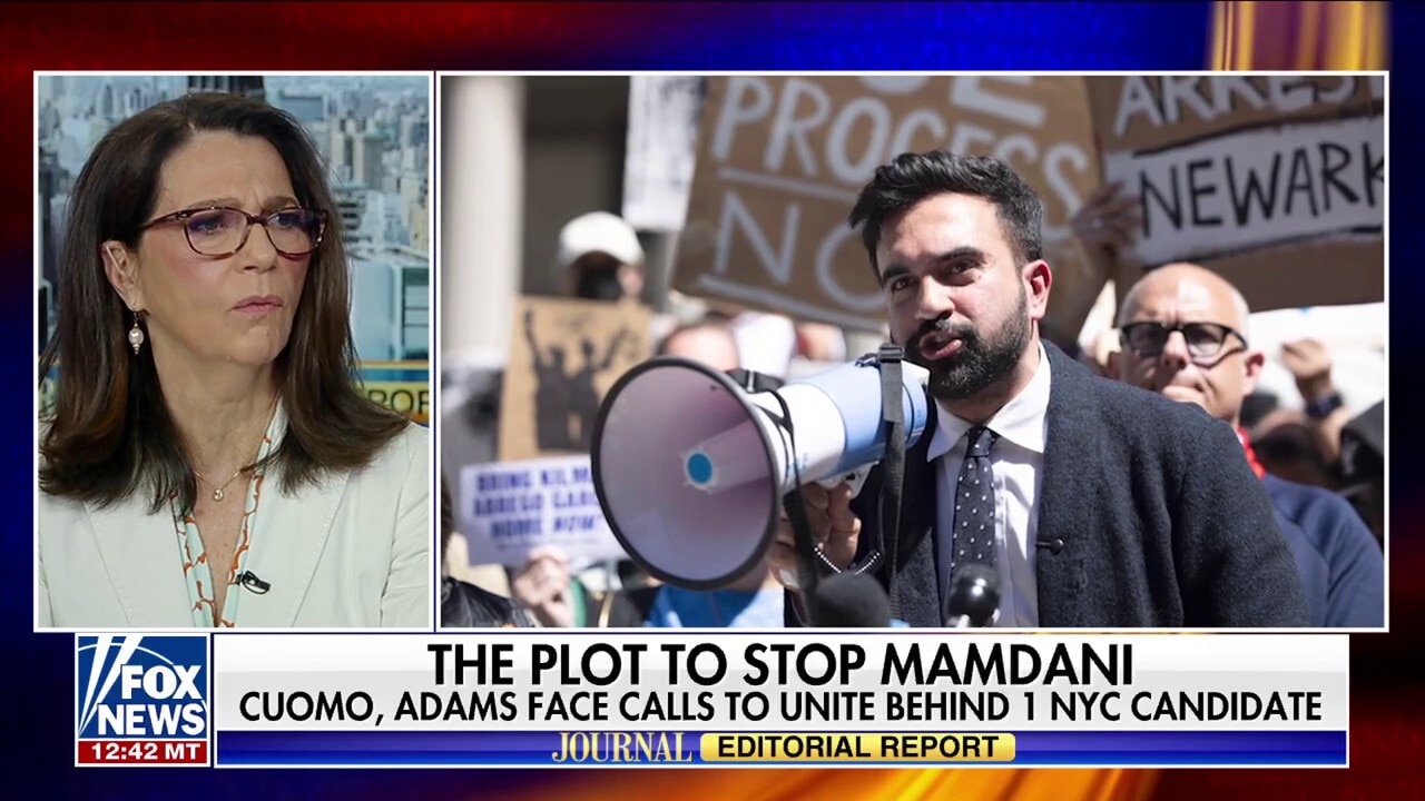 New York Democrats confront Mamdani 