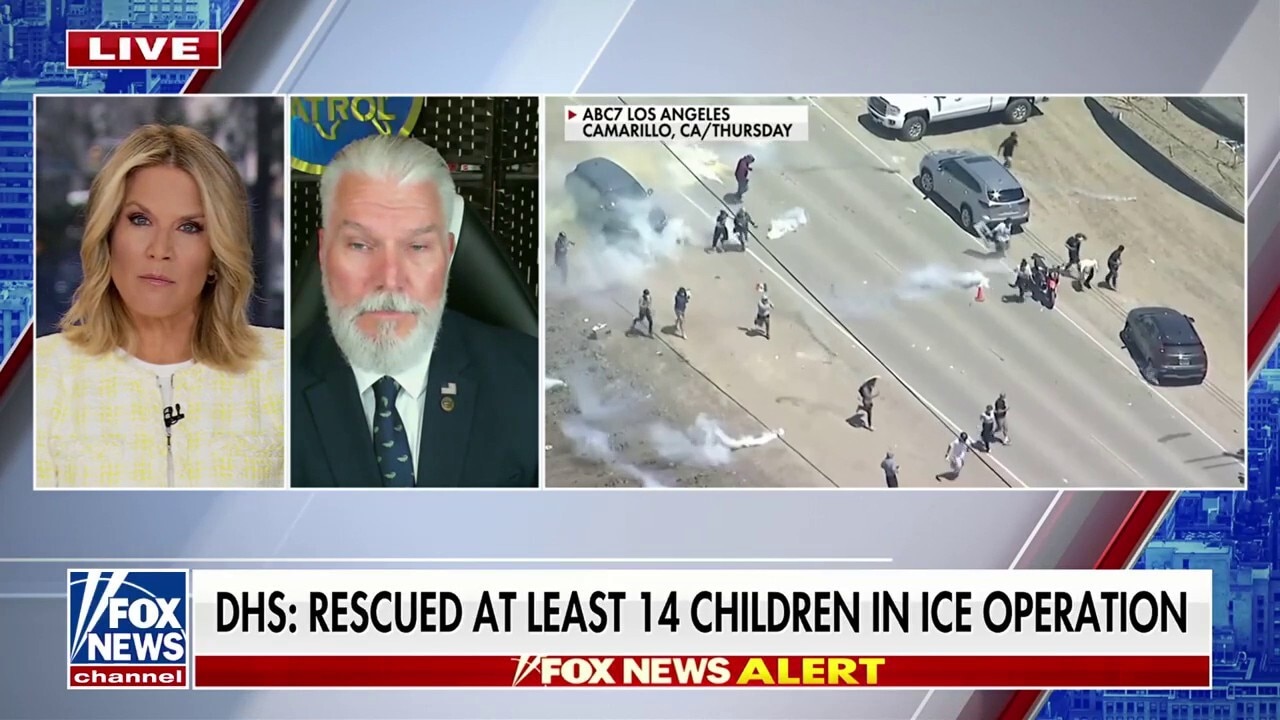 ‘Horrors’ like CA cannabis farm being ‘put to an end under Trump administration,’ says former chief border patrol agent