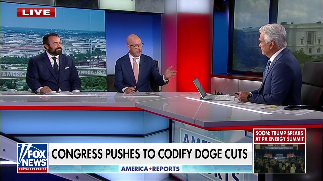 Former Harris campaign official insists autopen is used by ‘every' GOP and Dem president