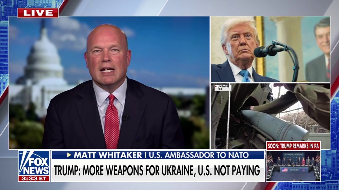 NATO ambassador says any foreign policy bill should give US president 'full flexibility' in sanctions, tariffs