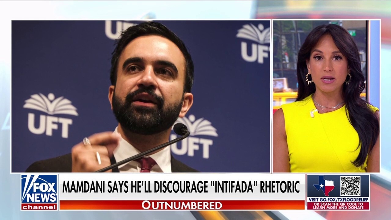 Democrats boast about Zohran Mamdani after DC meeting: 'He's incredible'