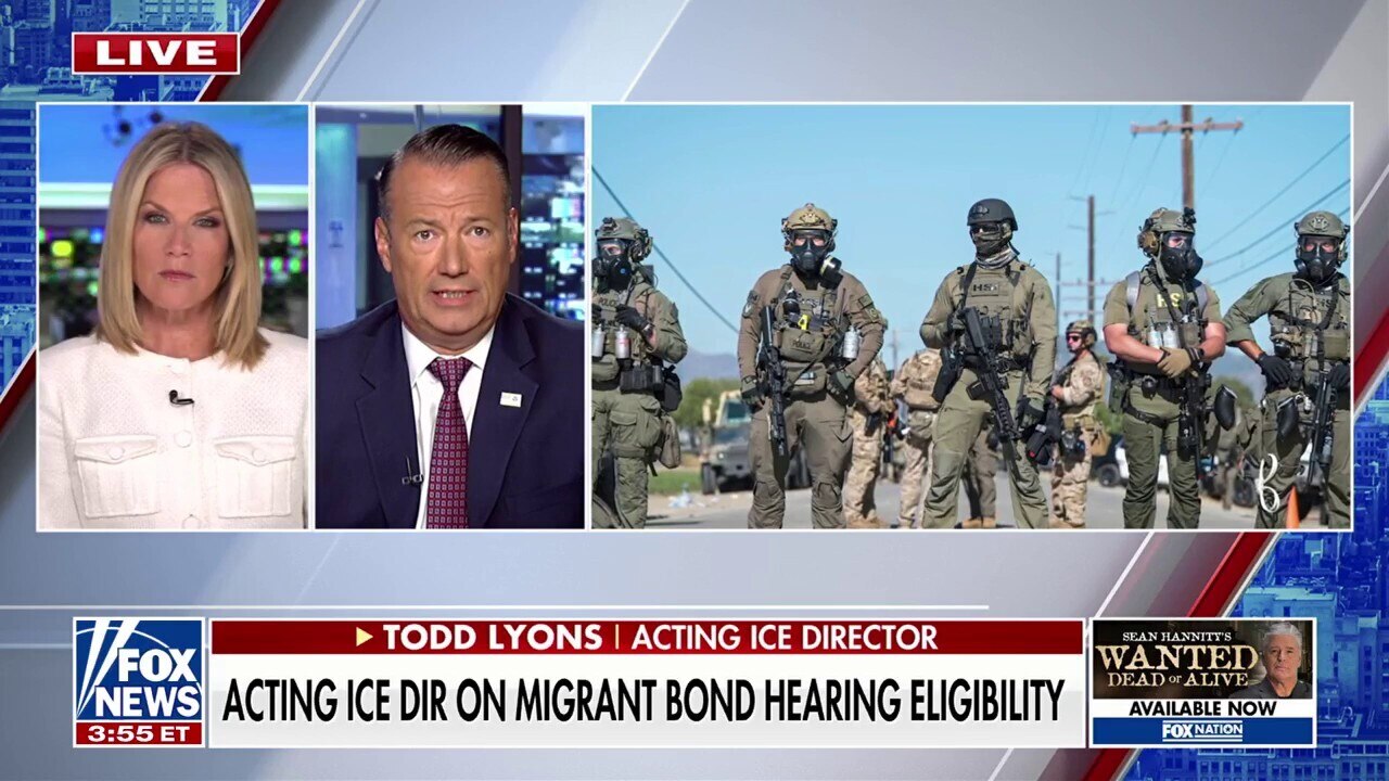 ICE official laments how agency's mission has been turned into a 'political football'