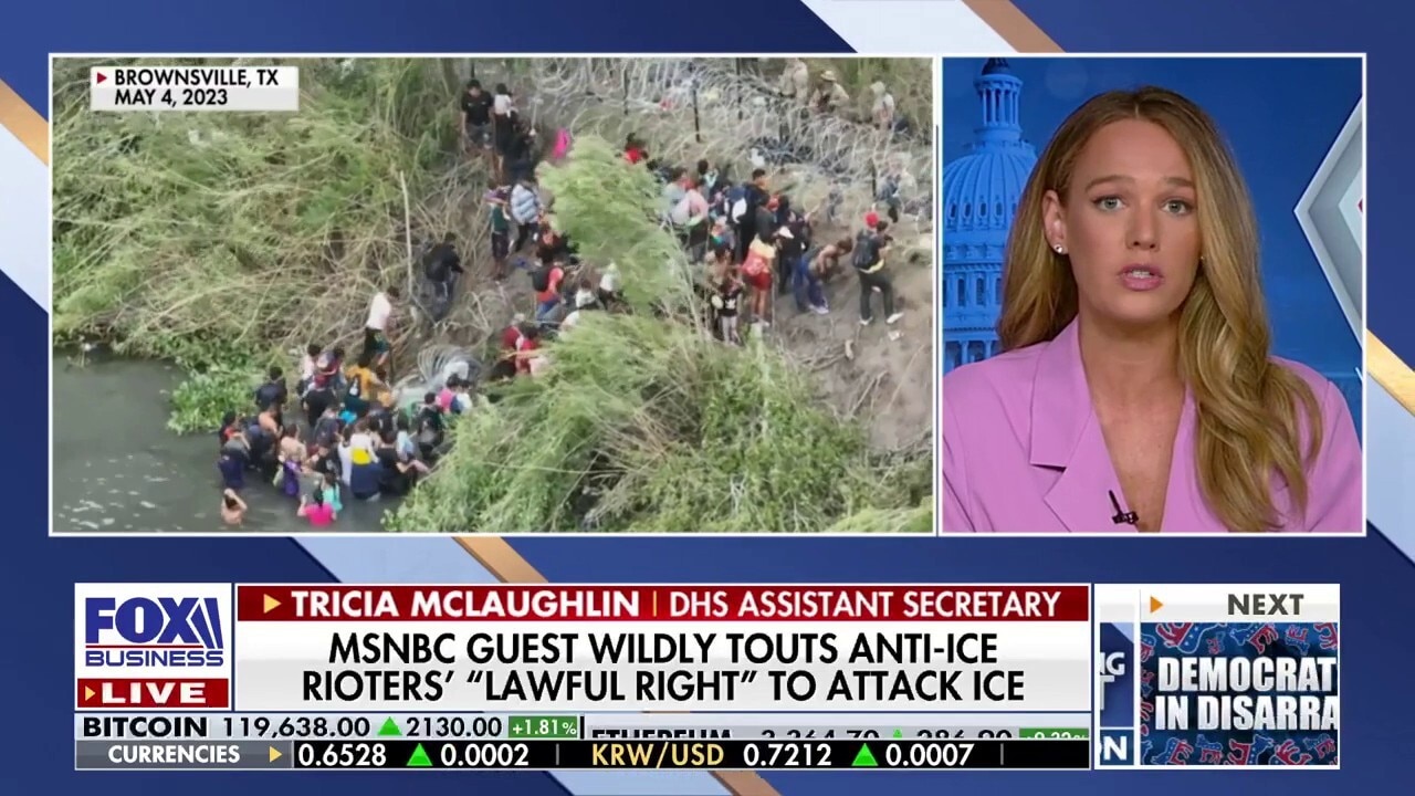 DHS assistant secretary sounds off on ‘absolutely deranged’ Democrats over characterization of ICE agents