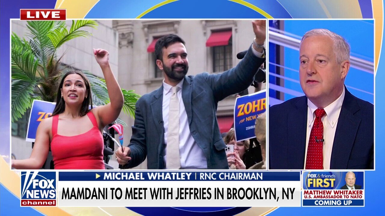 Zohran Mamdani  is the face of the new Democratic Party, RNC chairman says