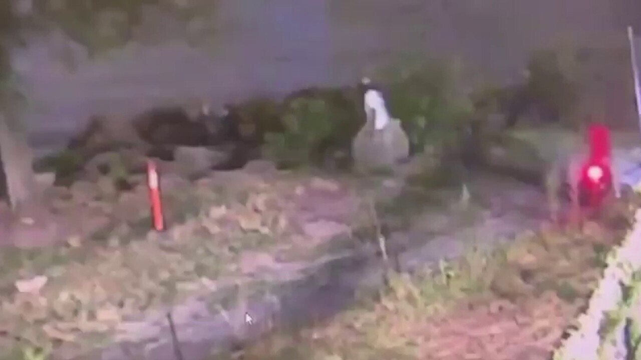 Off duty CBP officer shot during attempted robbery in NYC