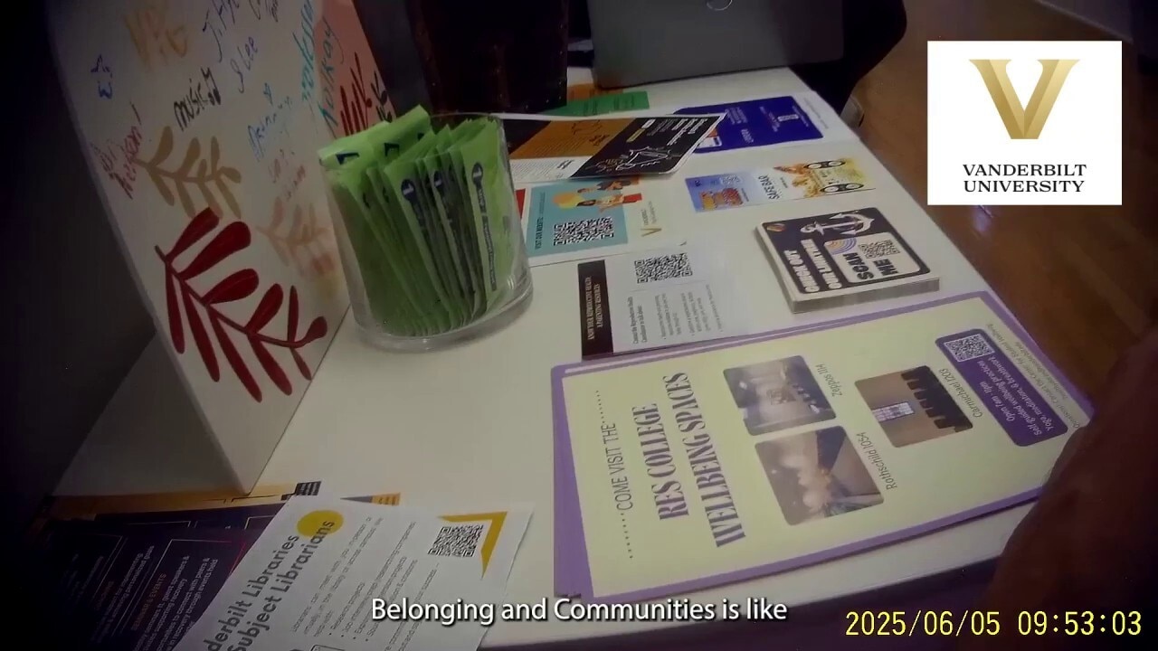 Red state universities admit to rebranding DEI efforts to skirt Trump orders