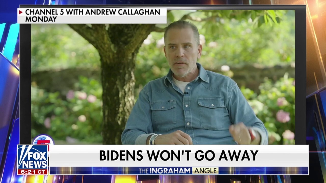 Biden family, Democratic Party are ‘a cancer on this country,’ says conservative activist