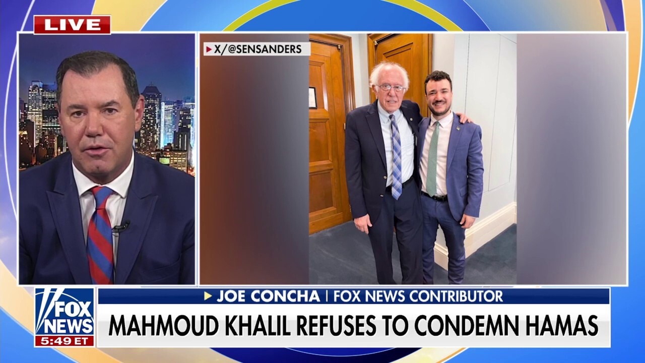 Mahmoud Khalil labeled 'Hamas simp' in scathing op-ed