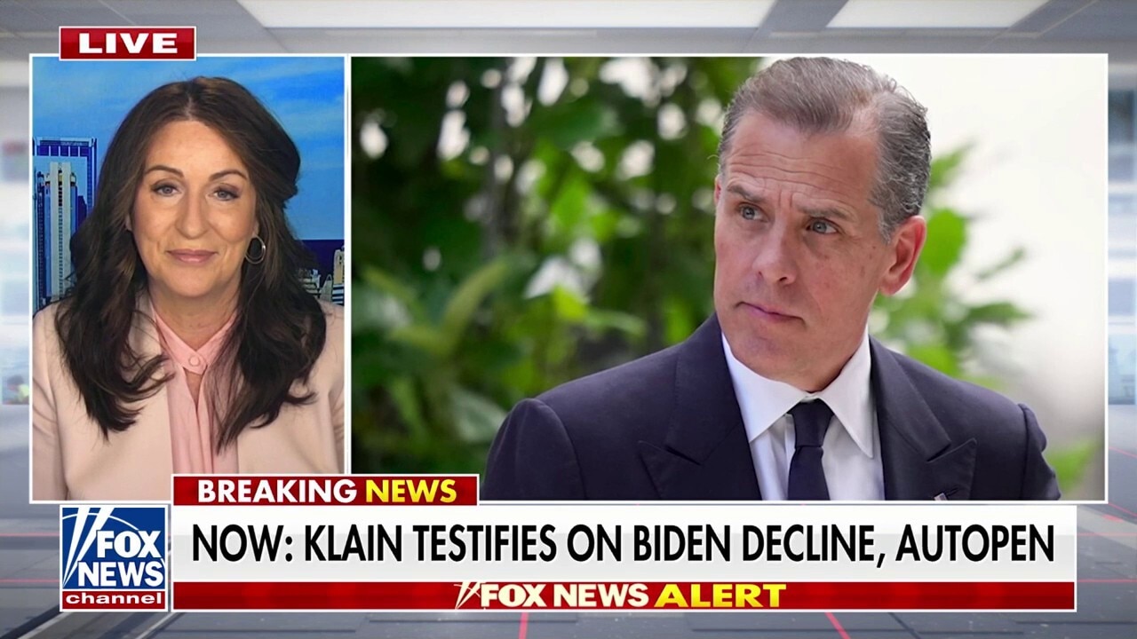 Hunter Biden is ‘full of delusions,’ Miranda Devine argues